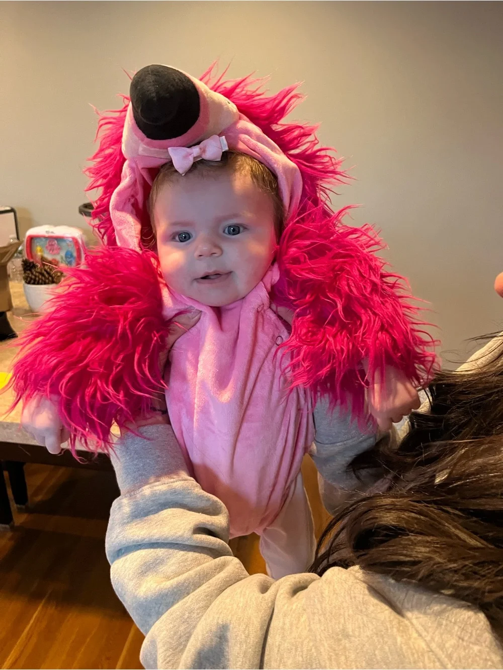 Pottery Barn Kids plush flamingo